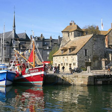 Studio Meuble Jacynthe Proche Le Havre - Etretat - Honfleur Saint-Romain-de-Colbosc Экстерьер фото